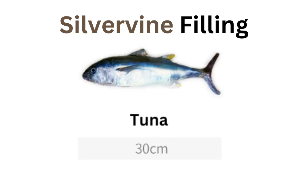 100% Silvervine/Catnip Filled Fish Cuddle Toy - Image 10