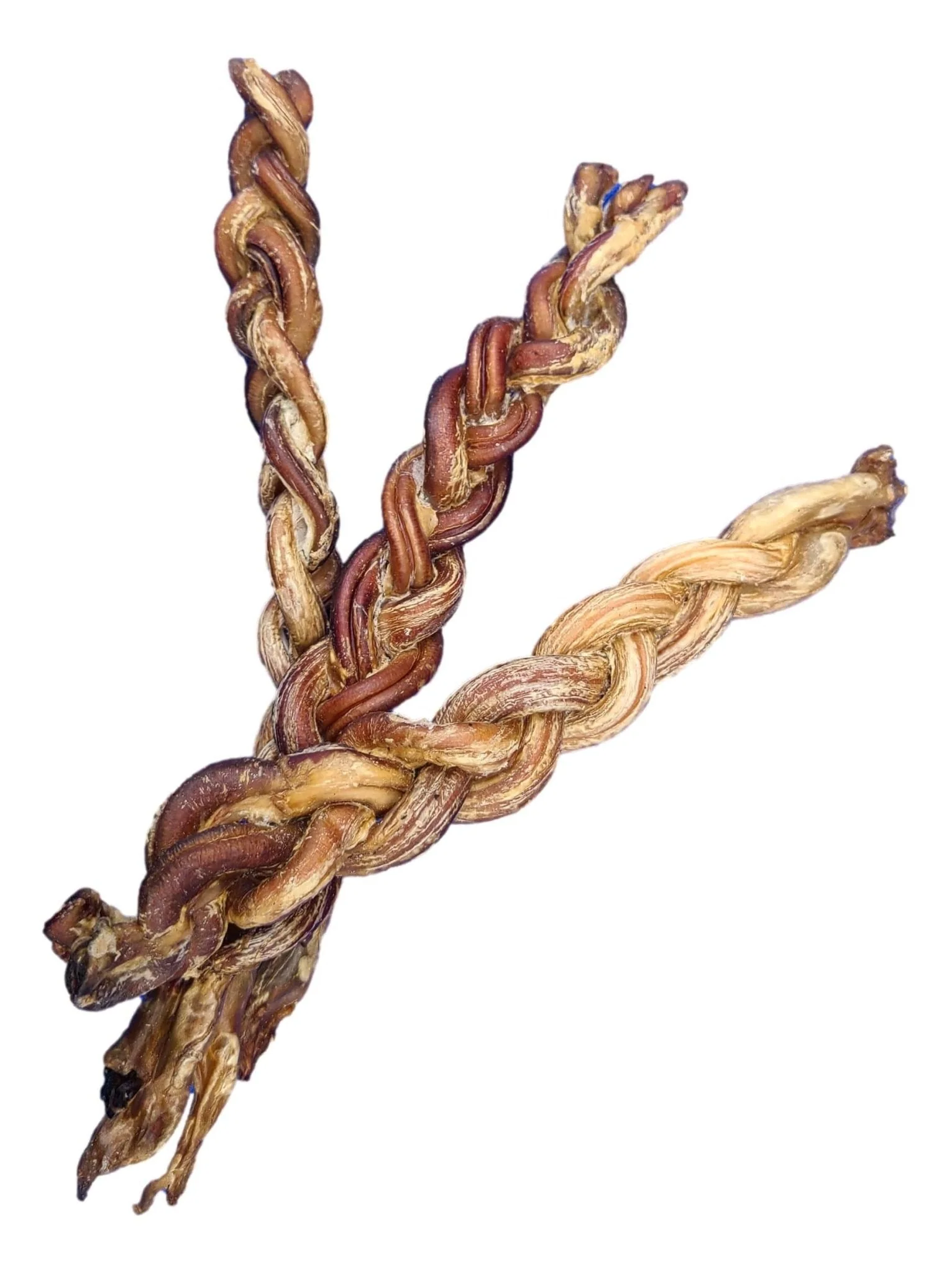 8-11" Braided Lamb Pizzle Stick - Image 2