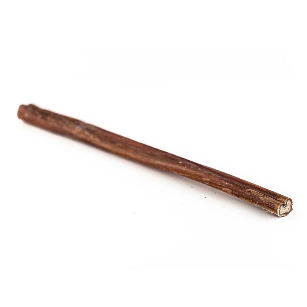 12" Standard Bully Stick - Image 2