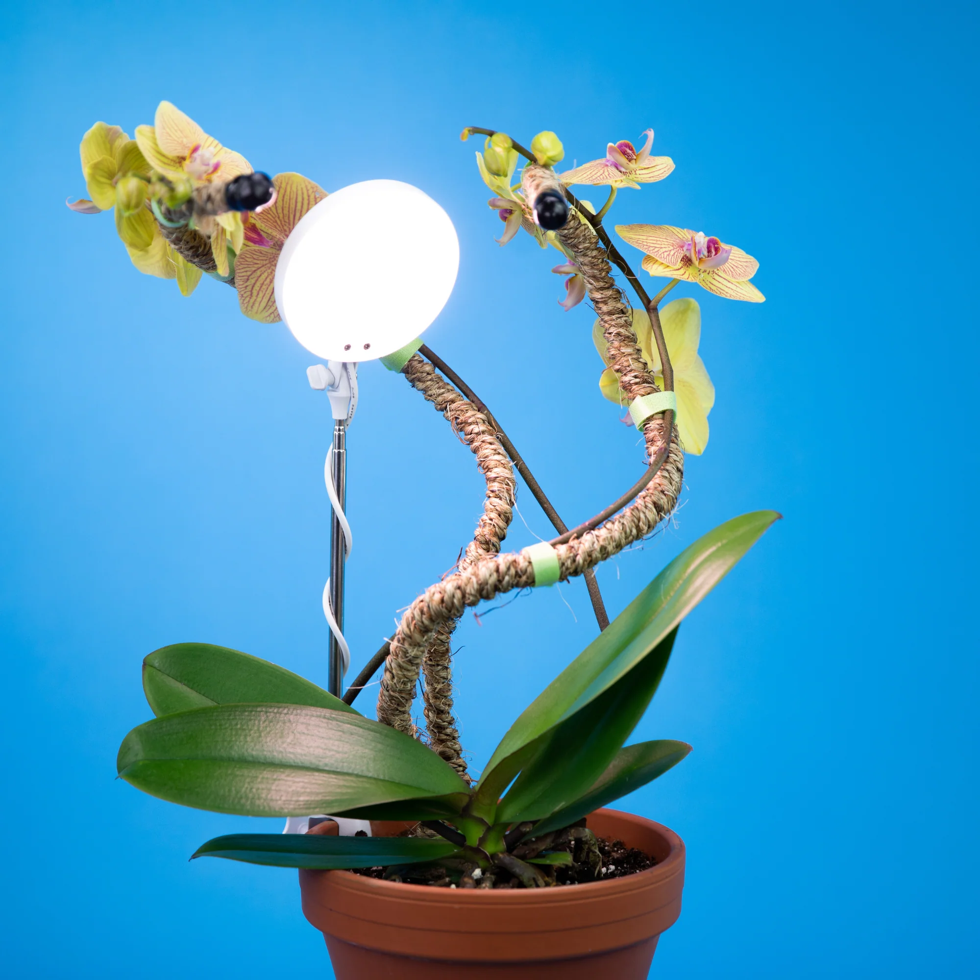 28" Adjustable LED Plant Light - Image 13