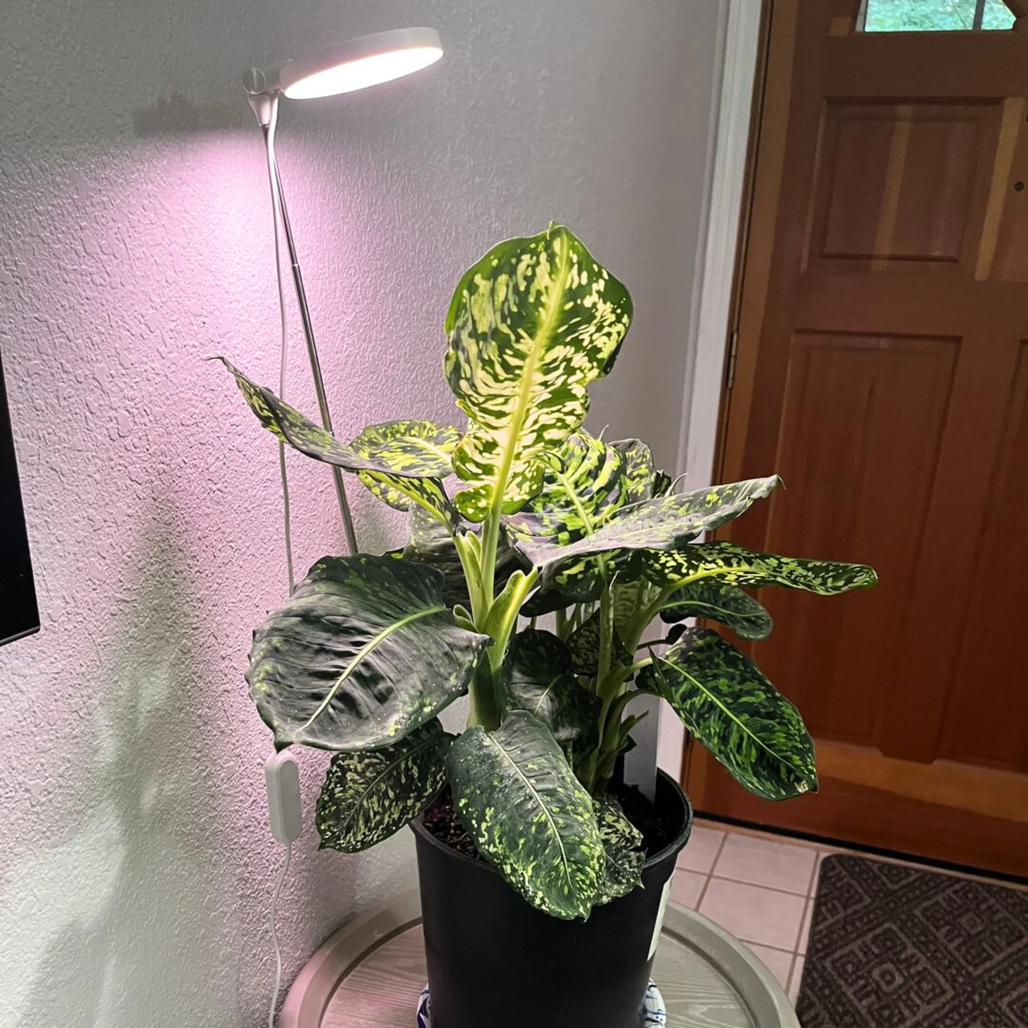 28" Adjustable LED Plant Light - Image 19