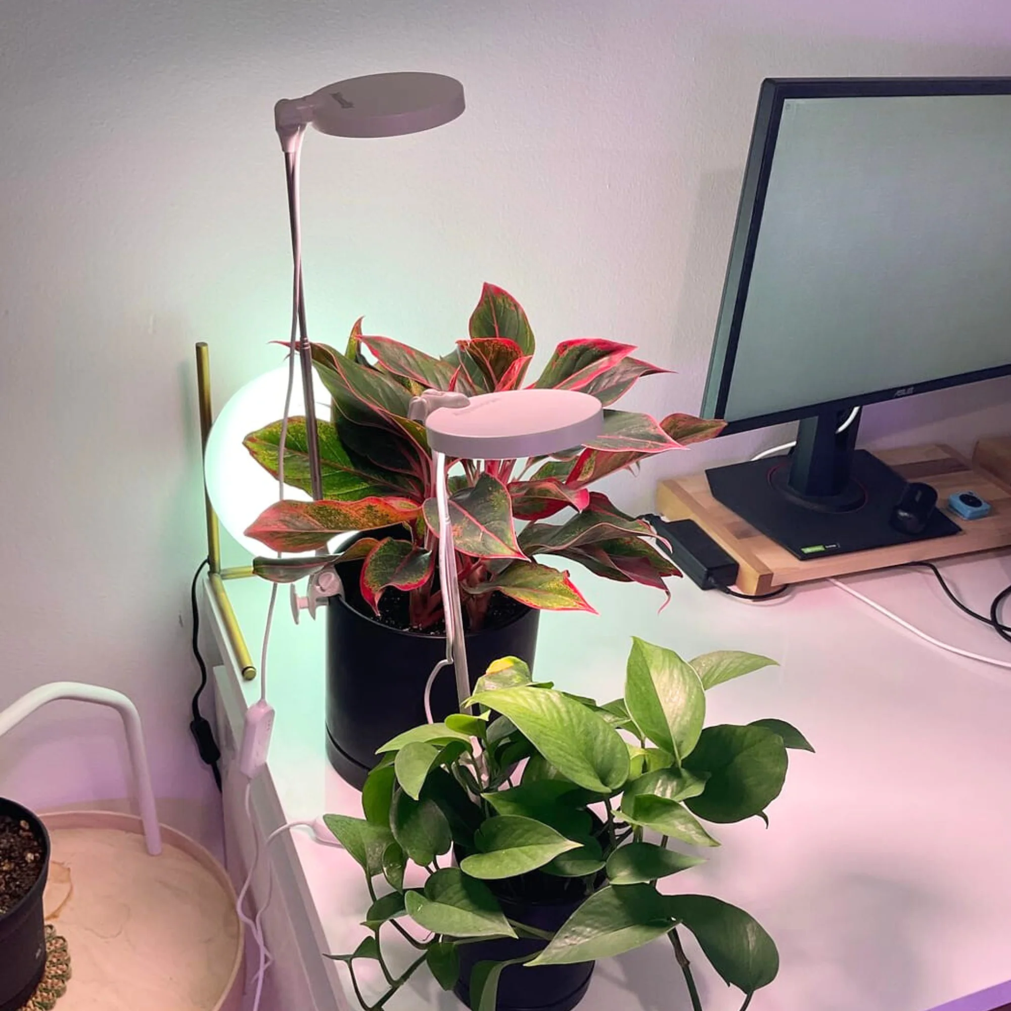 28" Adjustable LED Plant Light - Image 20