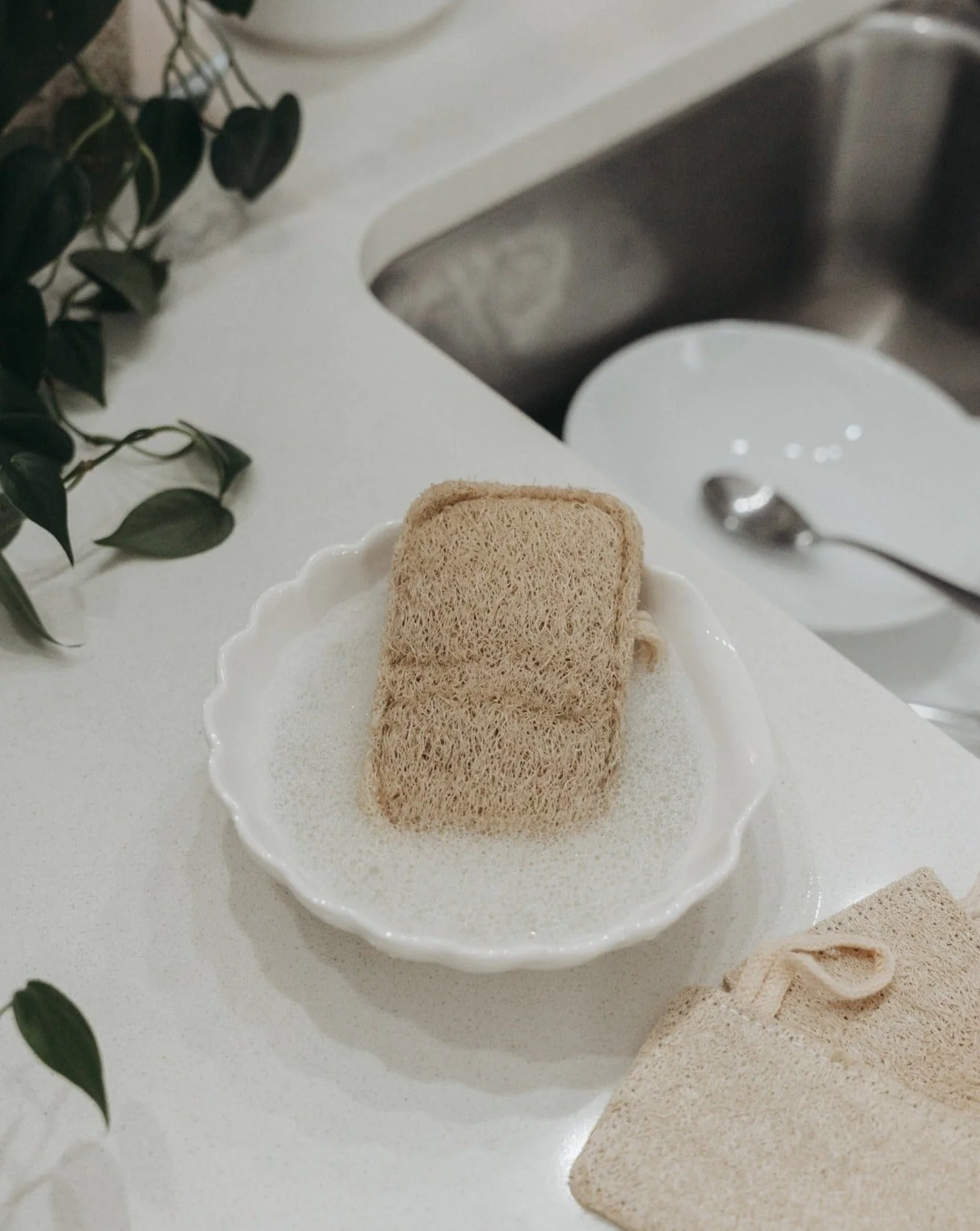 3 Pack Natural Loofah Sponge - Image 5