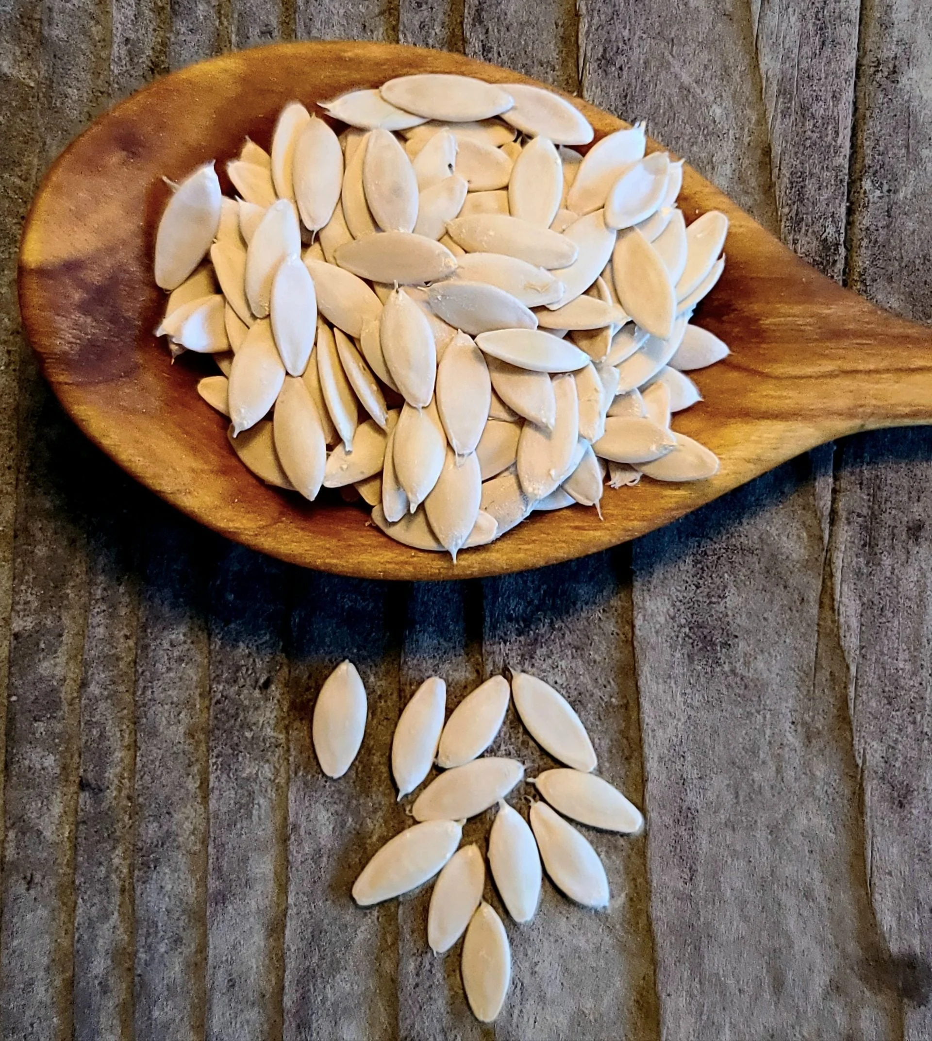 Armenian Cucumber - Image 4