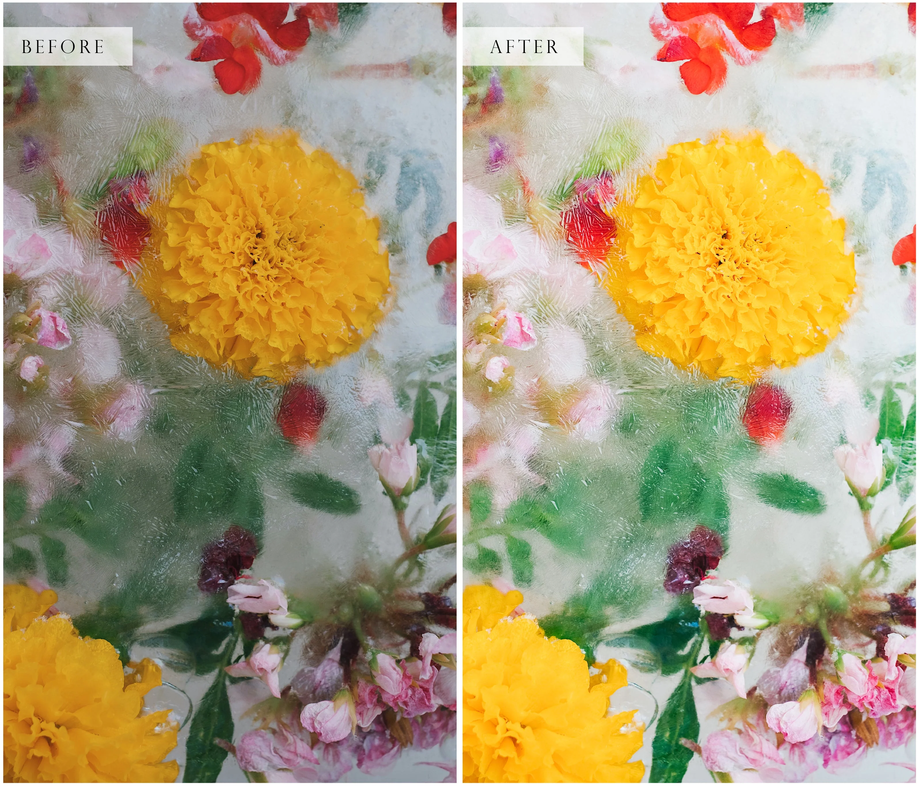 Artisan Lightroom Presets - Image 10
