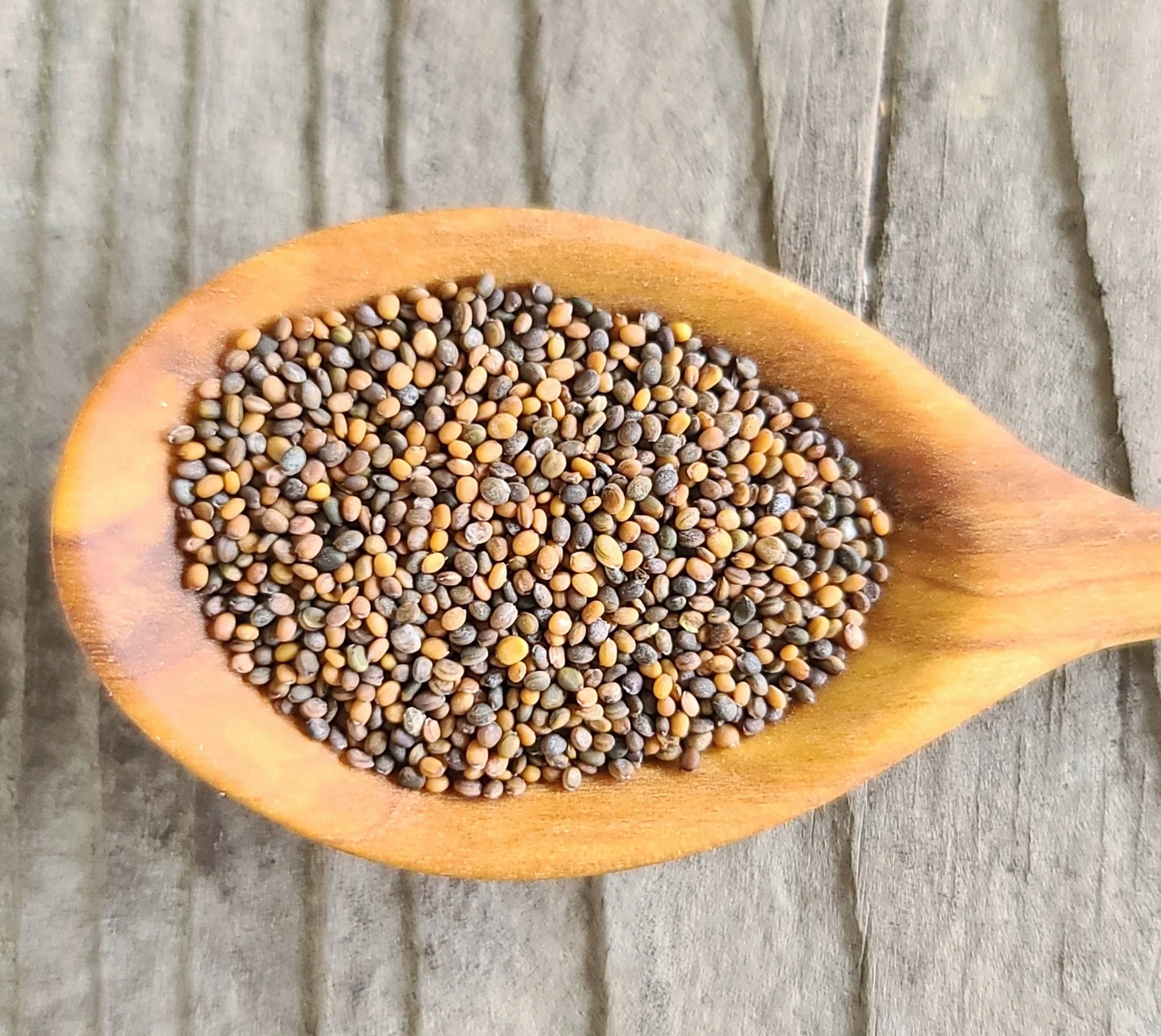 Arugula - Image 3
