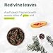 Attitude - Foaming Hand Soap - Red Vine Leaves (295ml) - Image 5
