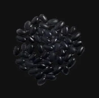 Aztec Bush Bean