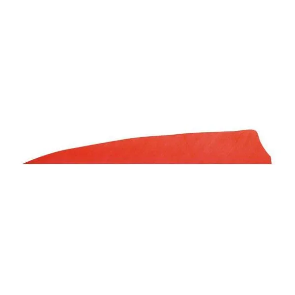 Badass Archery Right-Wing Shield Feathers - 36 Pack - Image 3