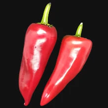 Basque Pepper