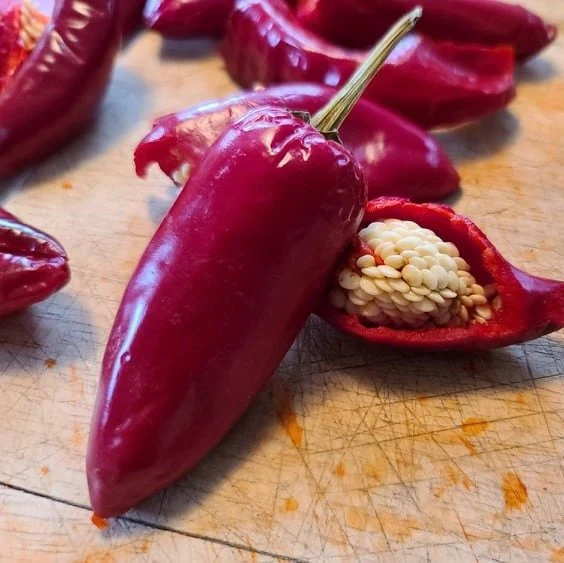 Basque Pepper - Image 2