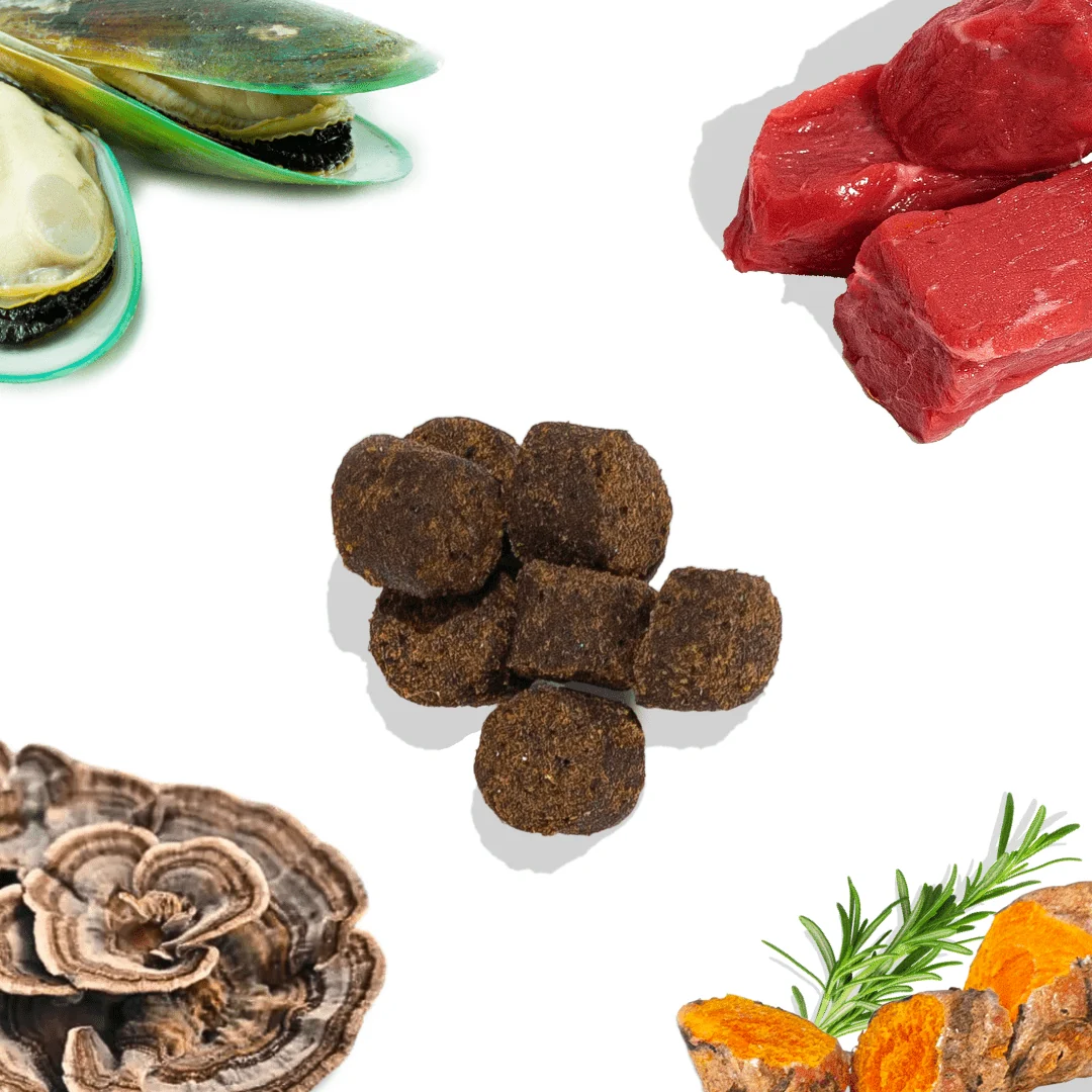 Beef Joint Booster - Image 2