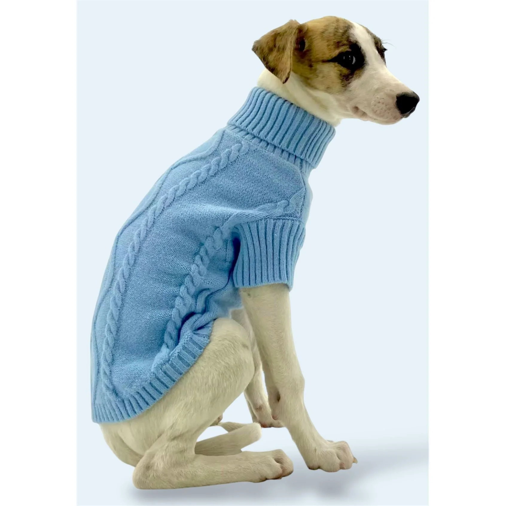 Blue Sweater - Image 3