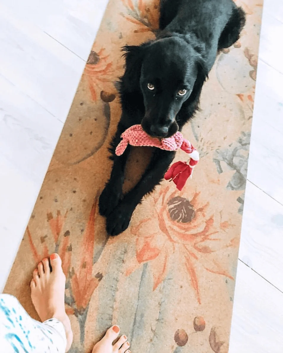 Botanicals Cork Yoga Mat | 4.5MM - Image 8
