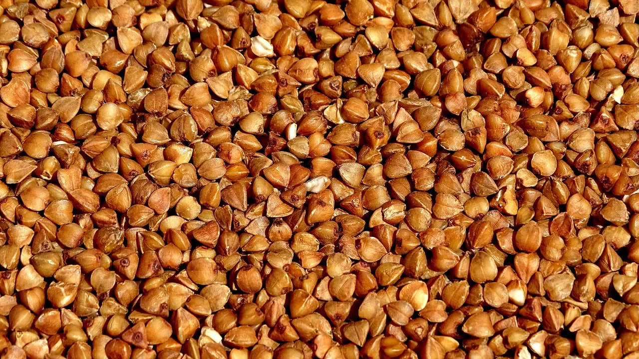 Buckwheat - Image 3