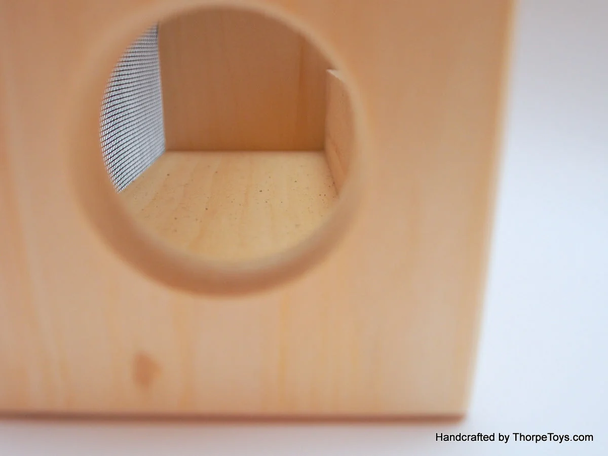 Bug Box - Image 6
