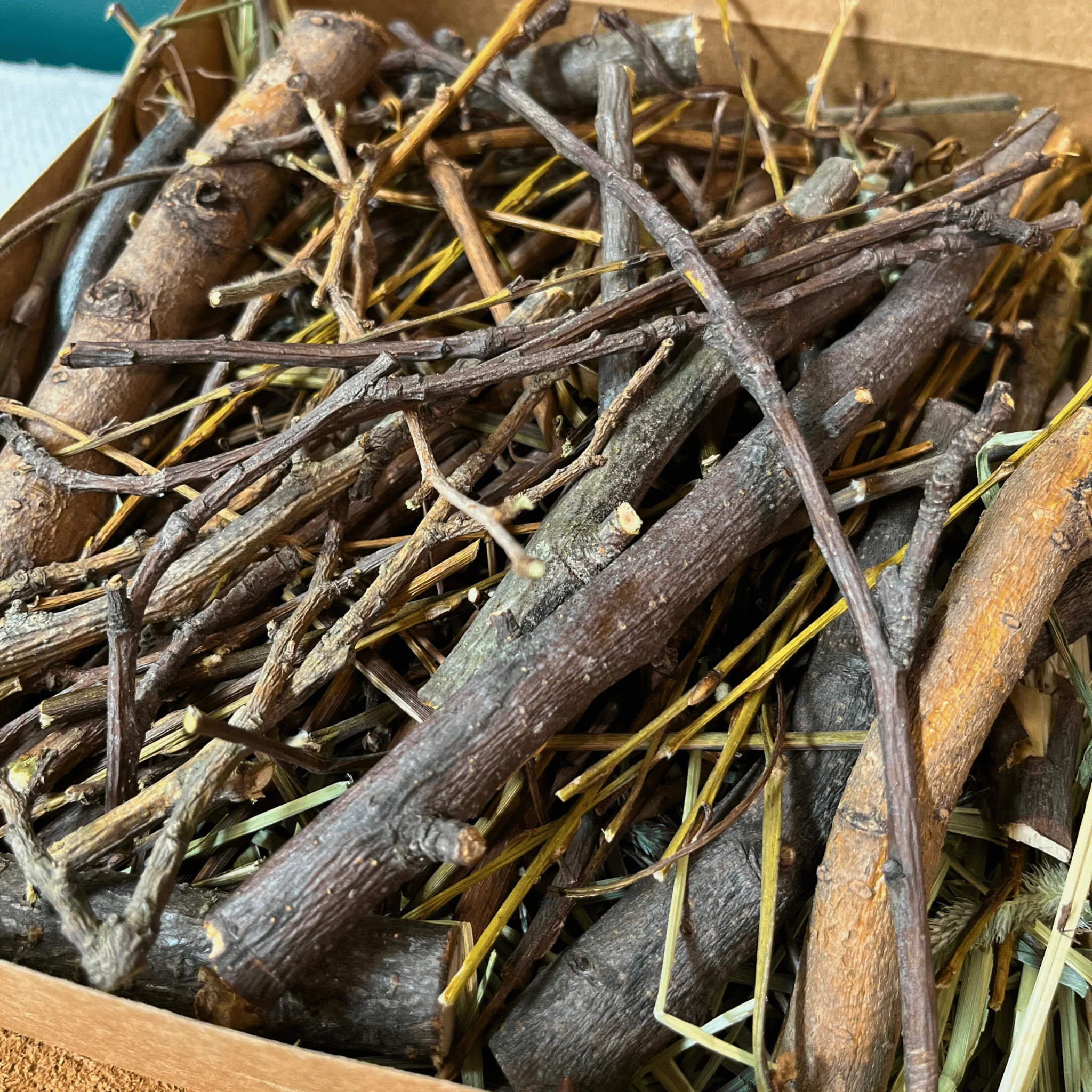 Bunny Chew Box: Apple, Kiwi, Currant & Gooseberry - Image 5