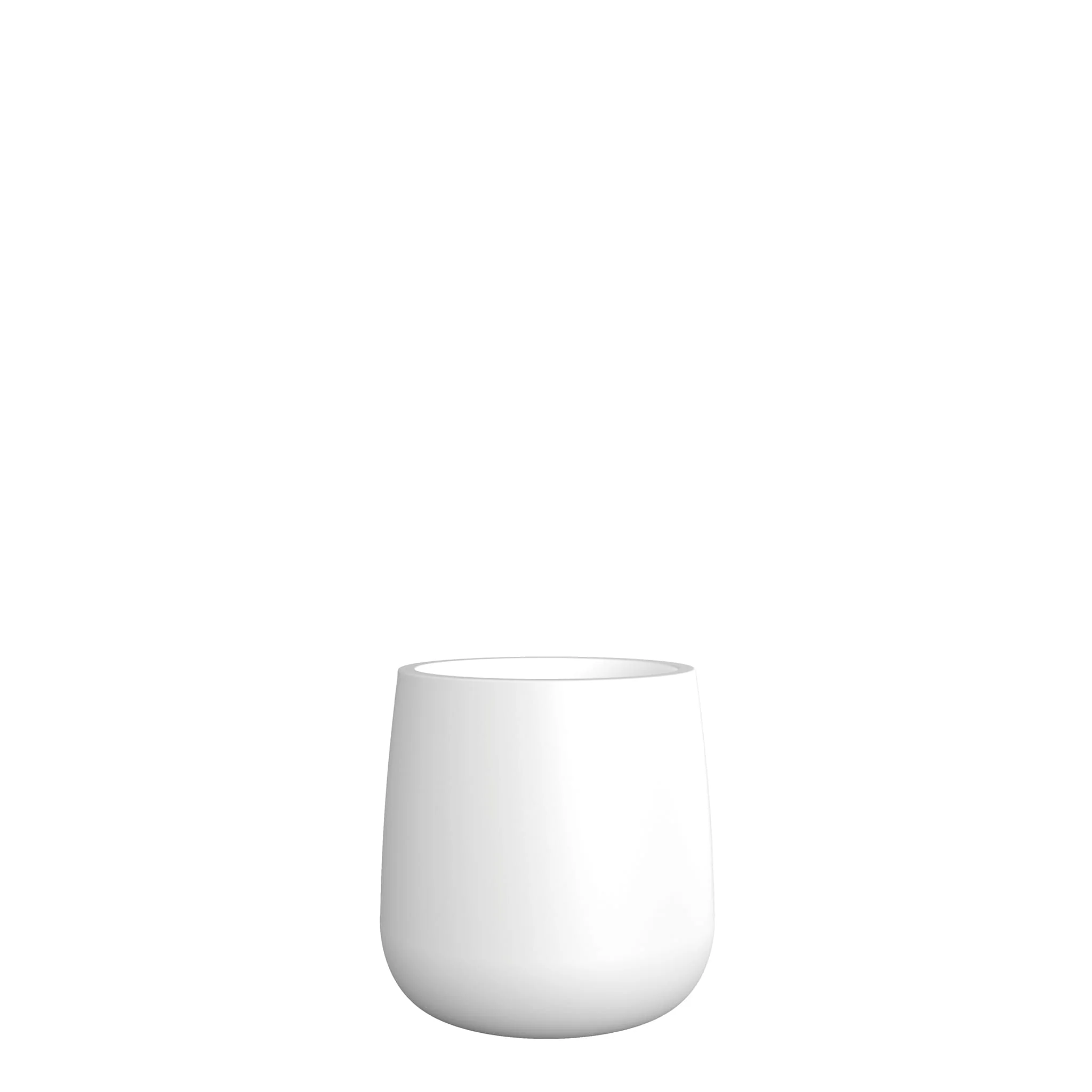 Camelia - Image 4