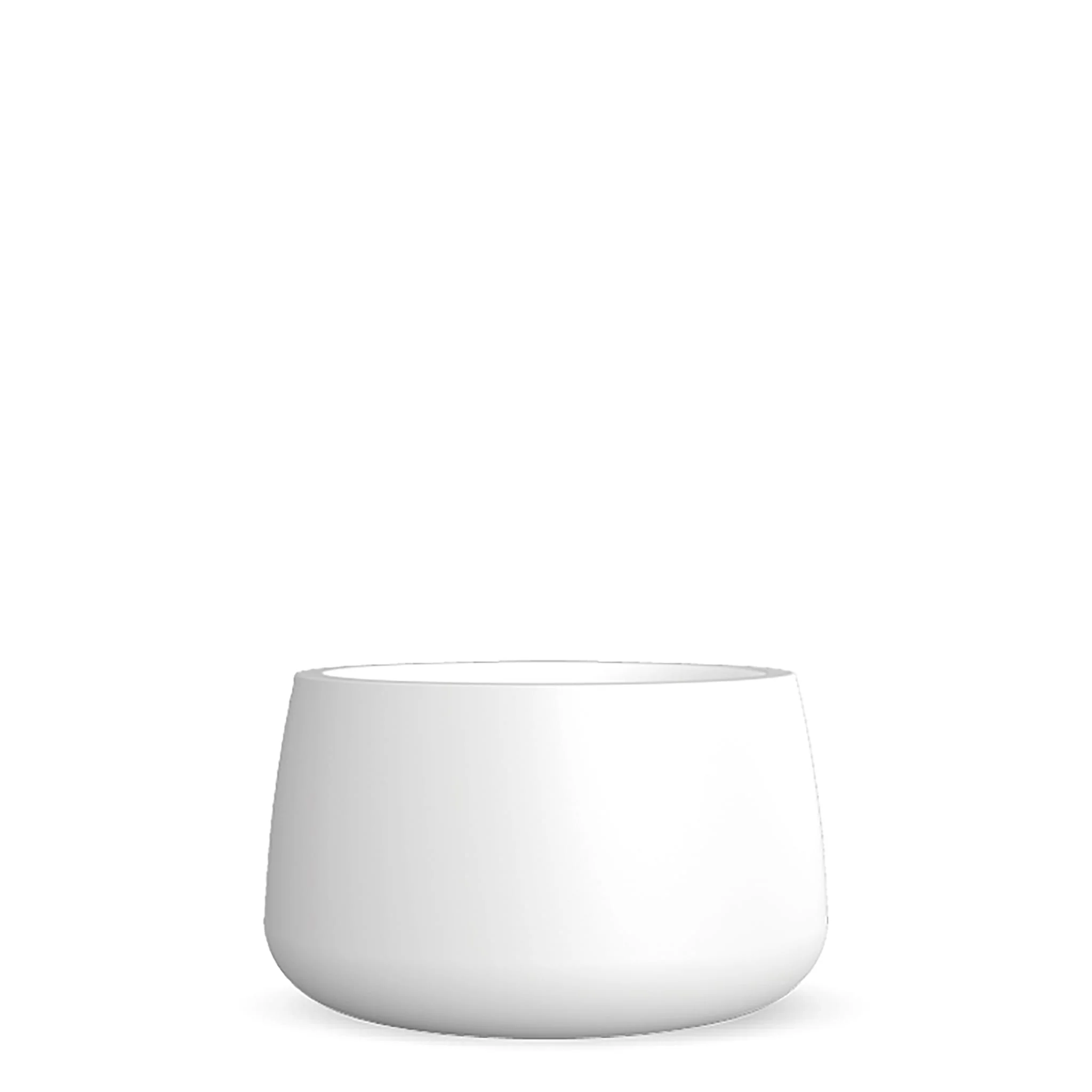 Camelia - Image 5