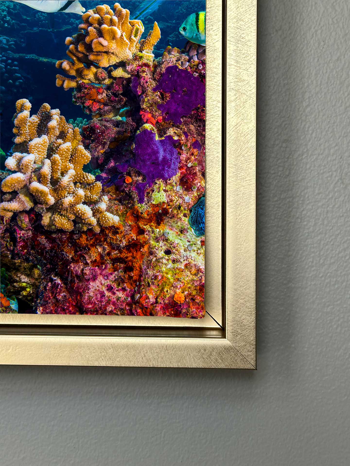 Canvas Print-Below the Surface-Wall Art - Image 4
