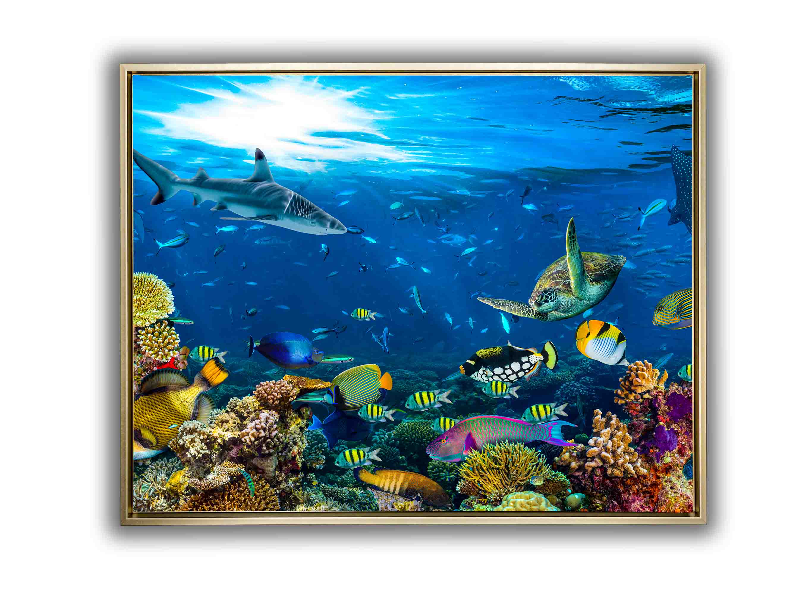 Canvas Print-Below the Surface-Wall Art - Image 5