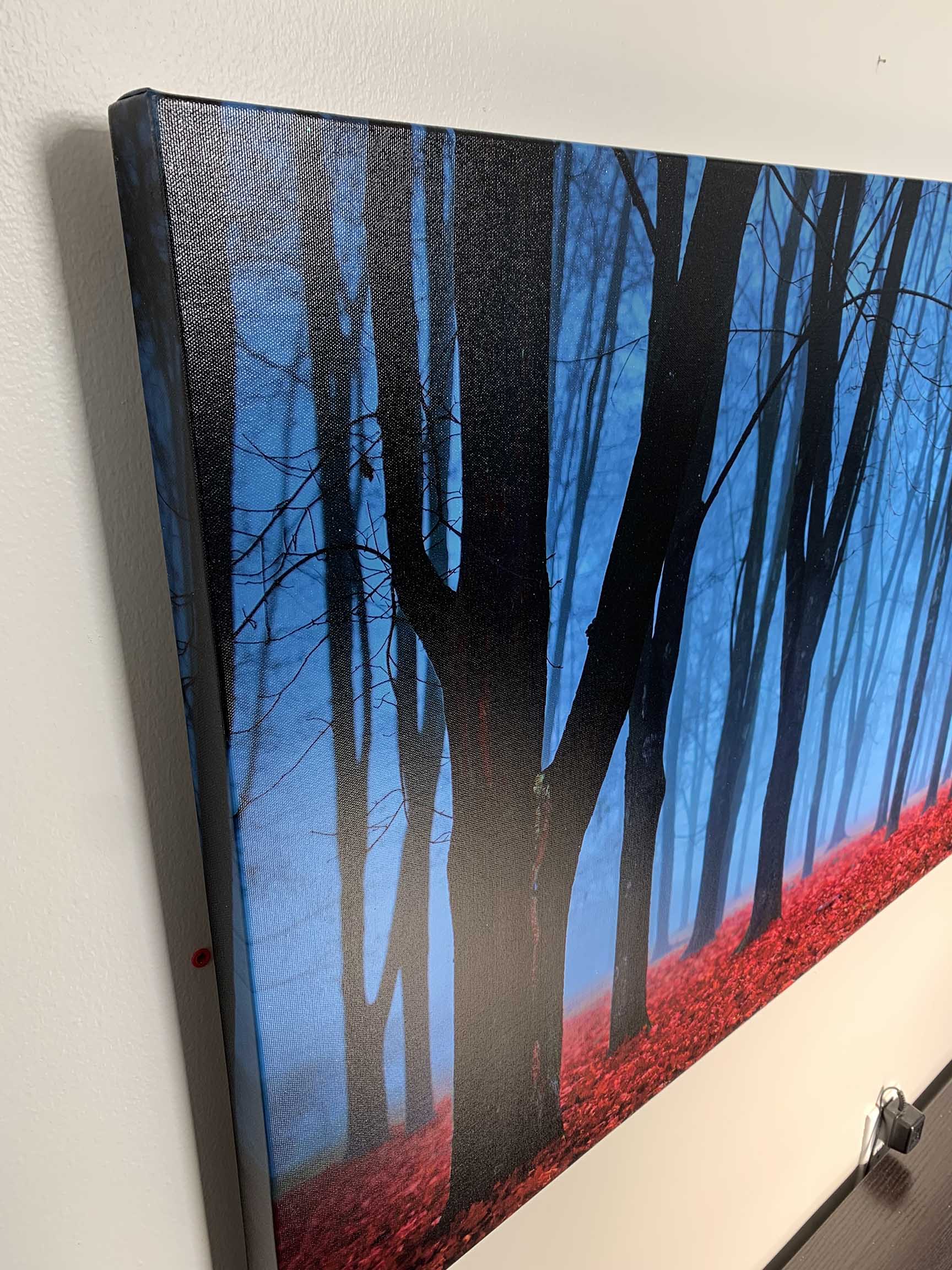 Canvas Print- Blue Mist Trees- Wall Art - Image 5