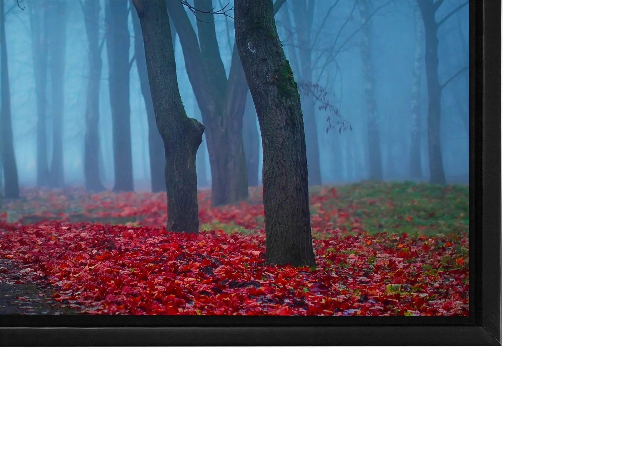 Canvas Print- Blue Mist Trees- Wall Art - Image 7