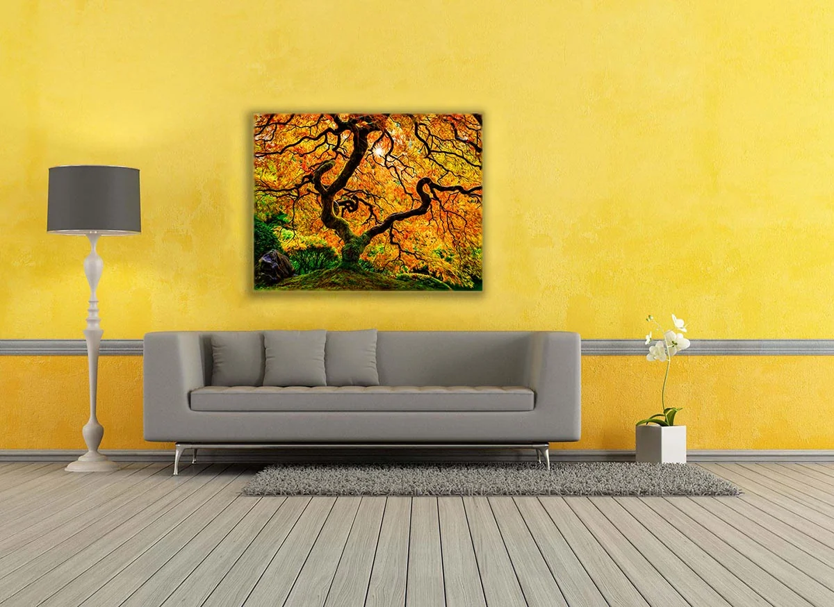 Canvas Print-Orange Tree-Nature Artwork - Image 3