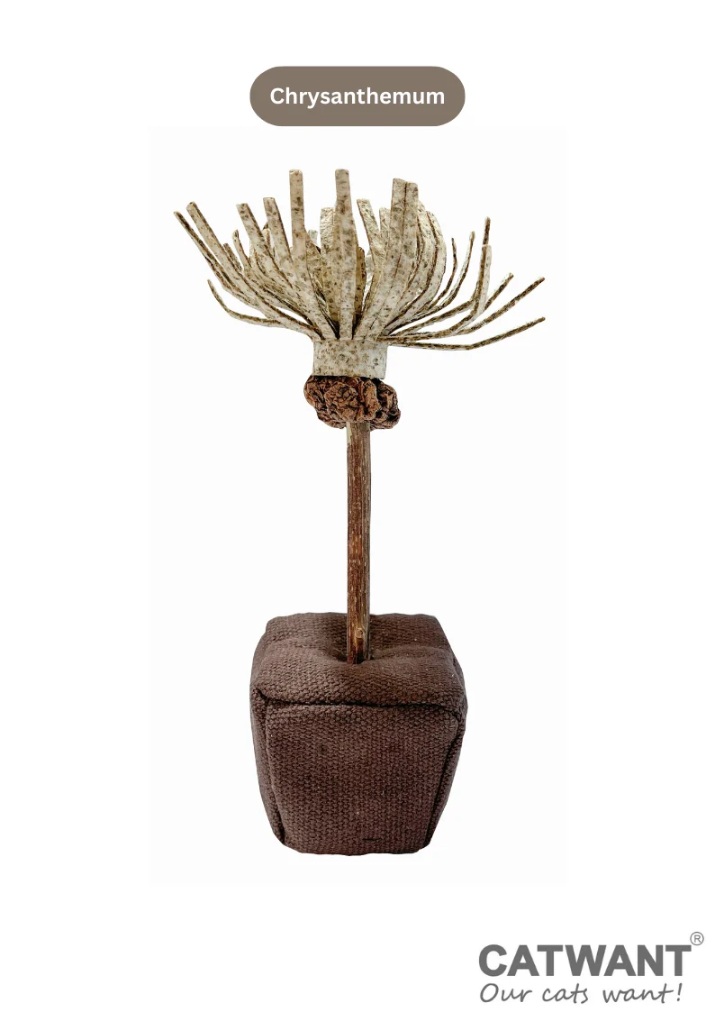 Catnip Paper Flower - Image 11