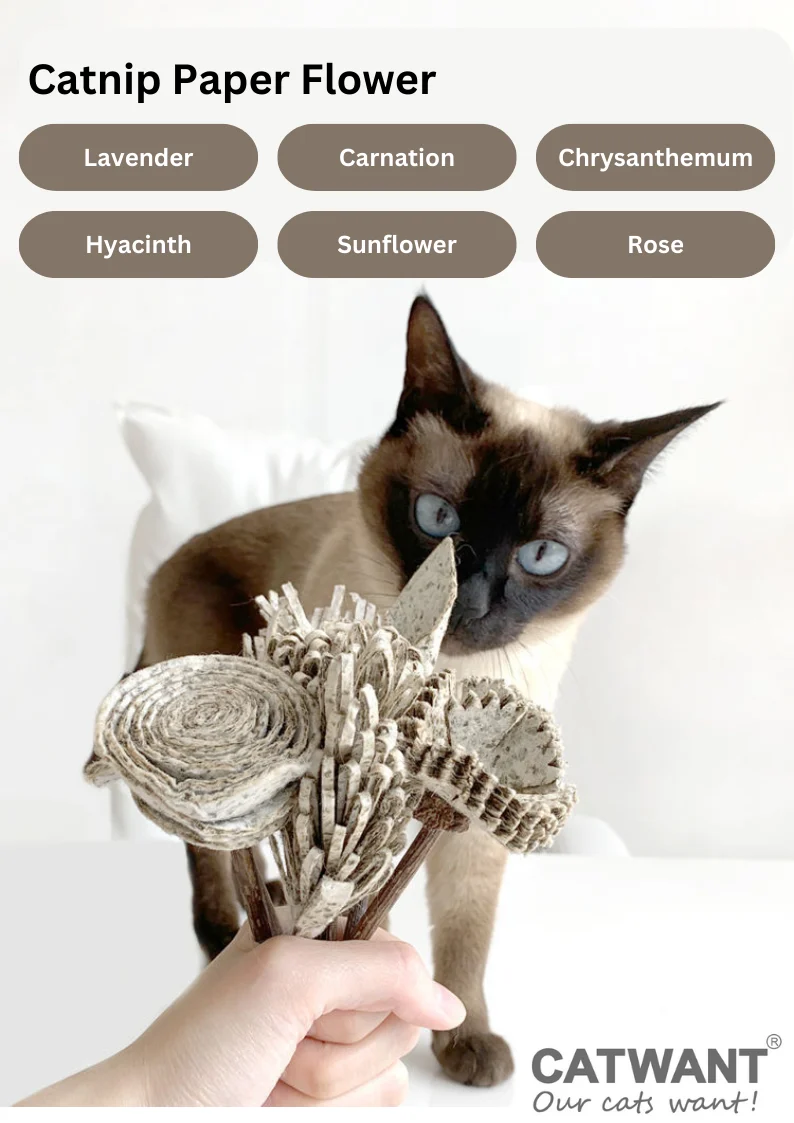 Catnip Paper Flower - Image 2