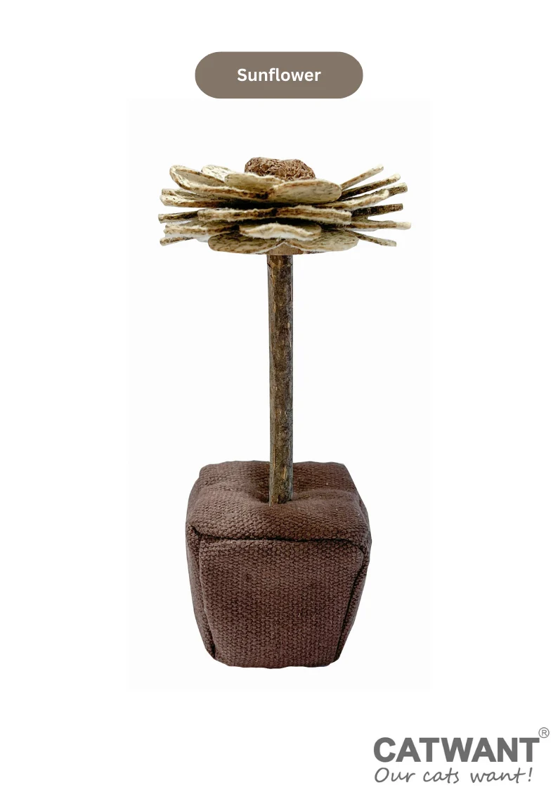 Catnip Paper Flower - Image 9
