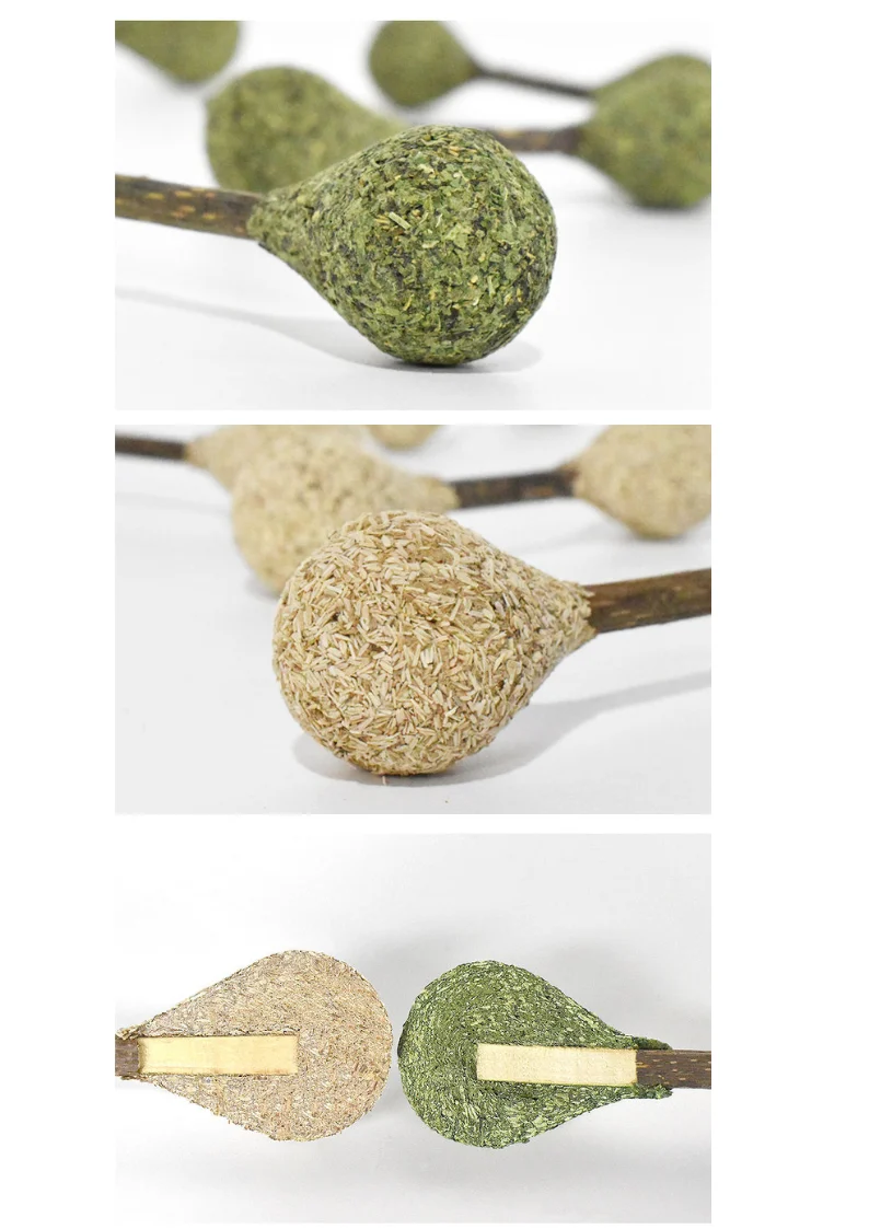 Catnip / Silvervine Dental Buds - Image 3