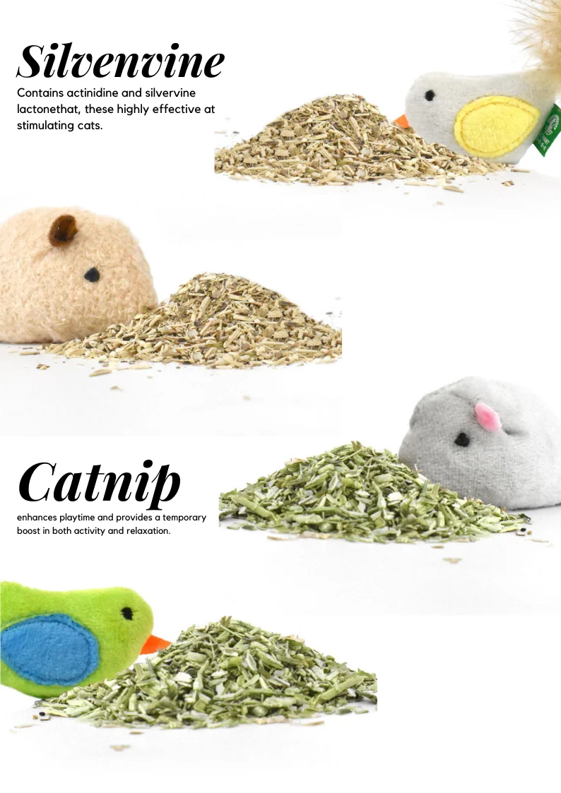 Catnip/Silvervine Small Pet Toys - Image 3