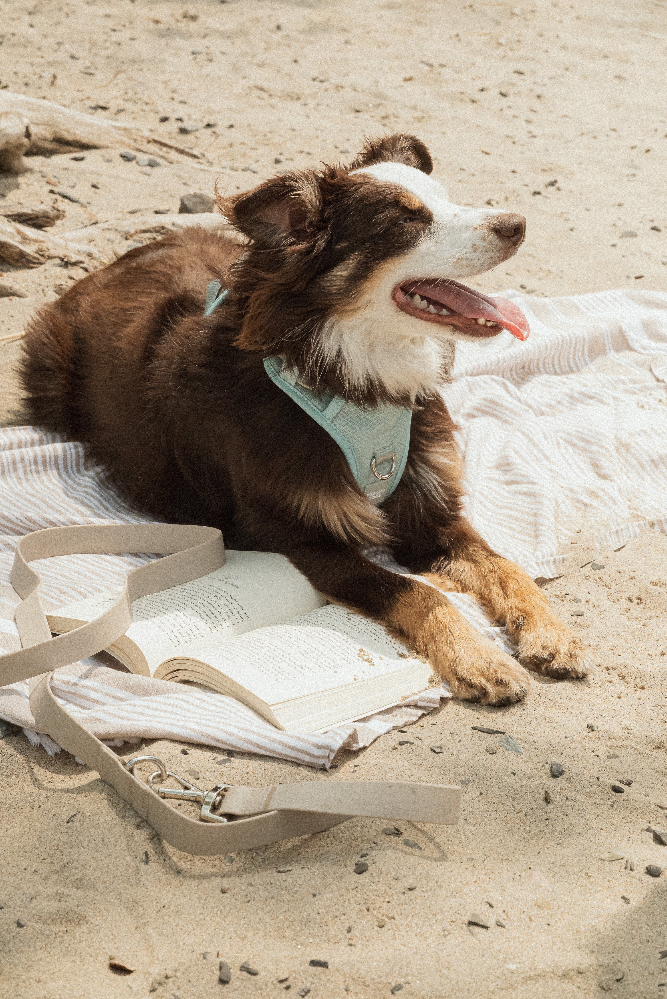 Classic 2.0 Harness Breeze - Image 3