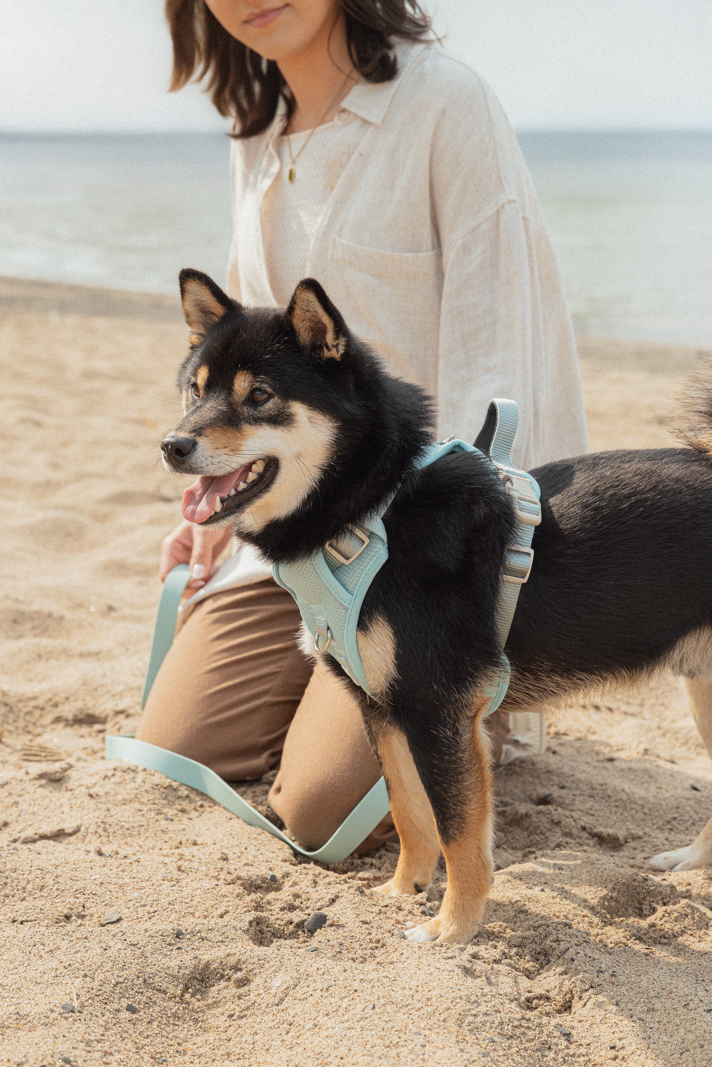 Classic 2.0 Harness Breeze - Image 4