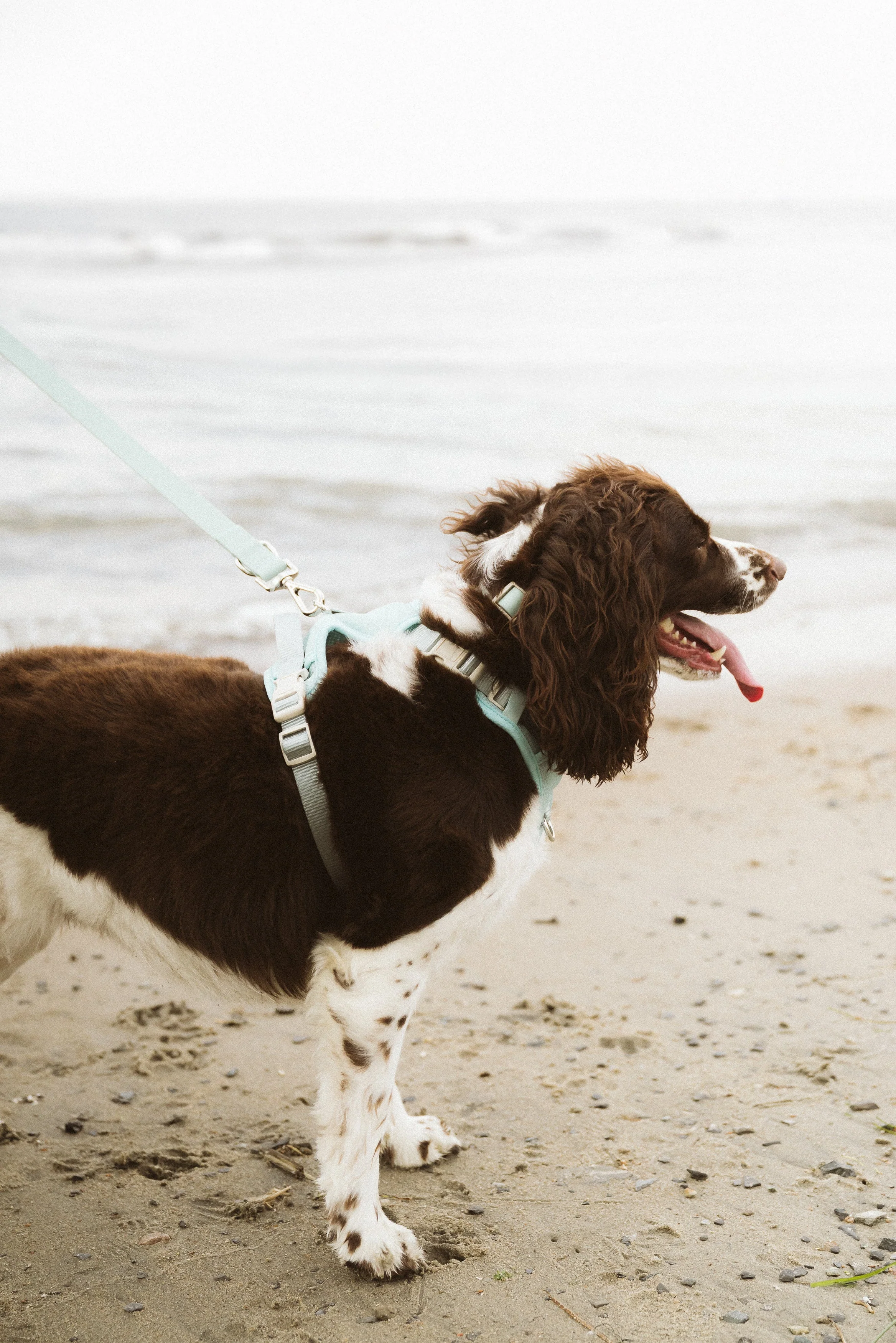 Classic 2.0 Harness Breeze - Image 5