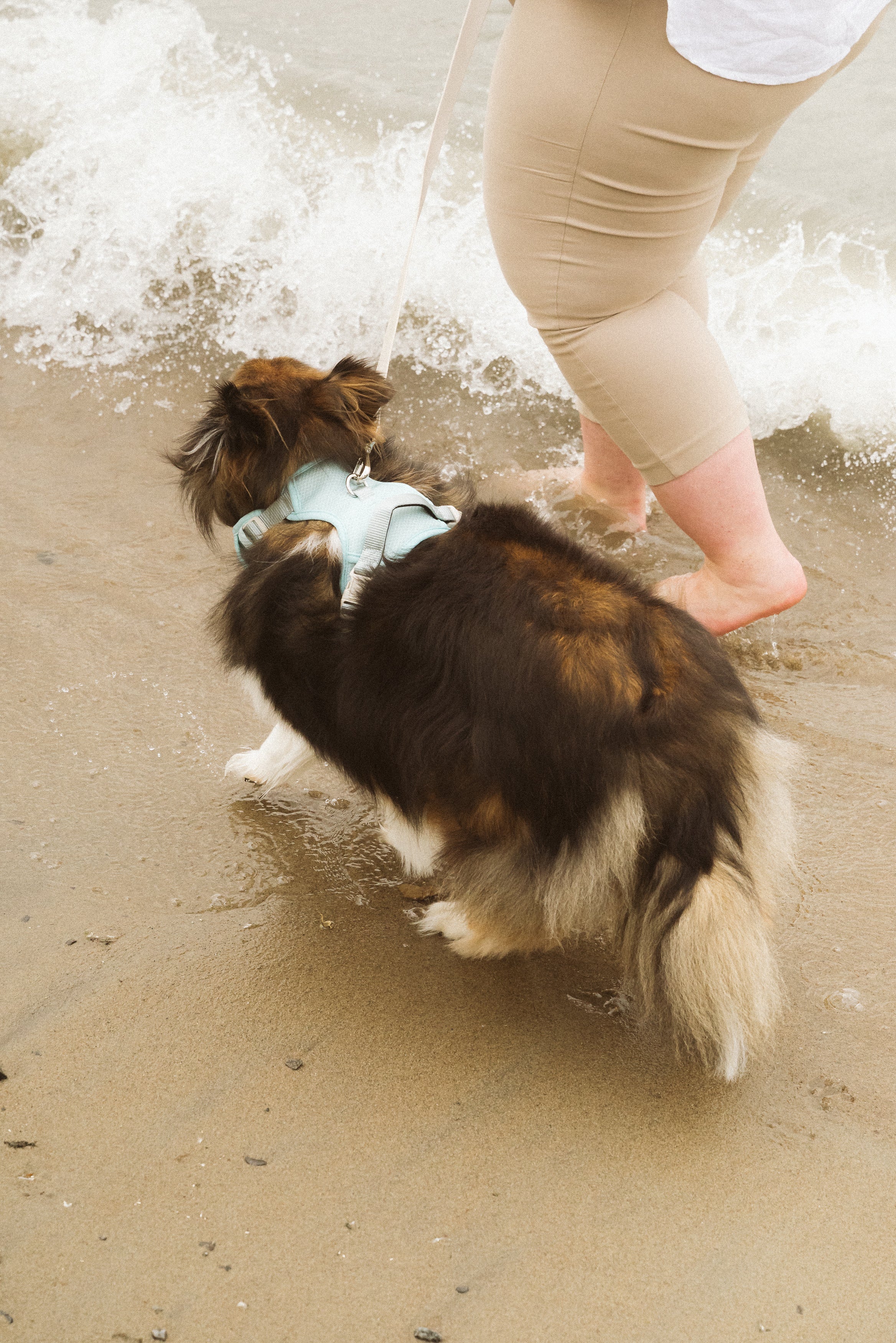 Classic 2.0 Harness Breeze - Image 7