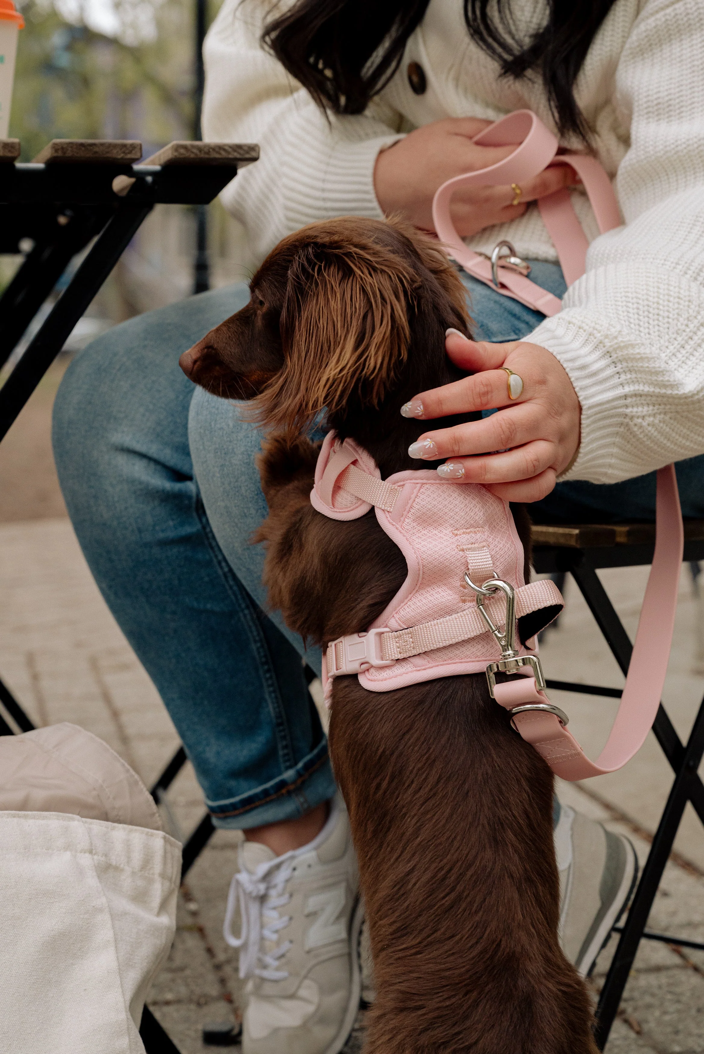 Classic 2.0 Harness Lychee - Image 2