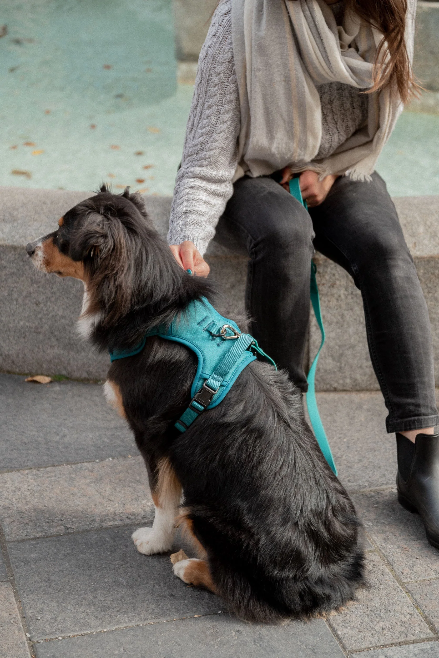 Classic 2.0 Harness Mojito - Image 9