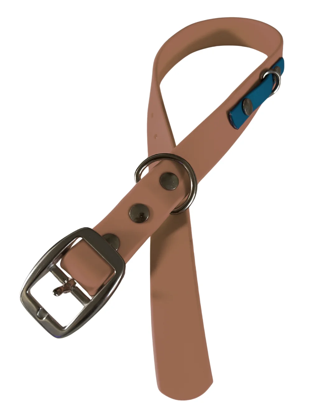 Collier en Biothane pour chien- Fait Main au Québec - Image 27