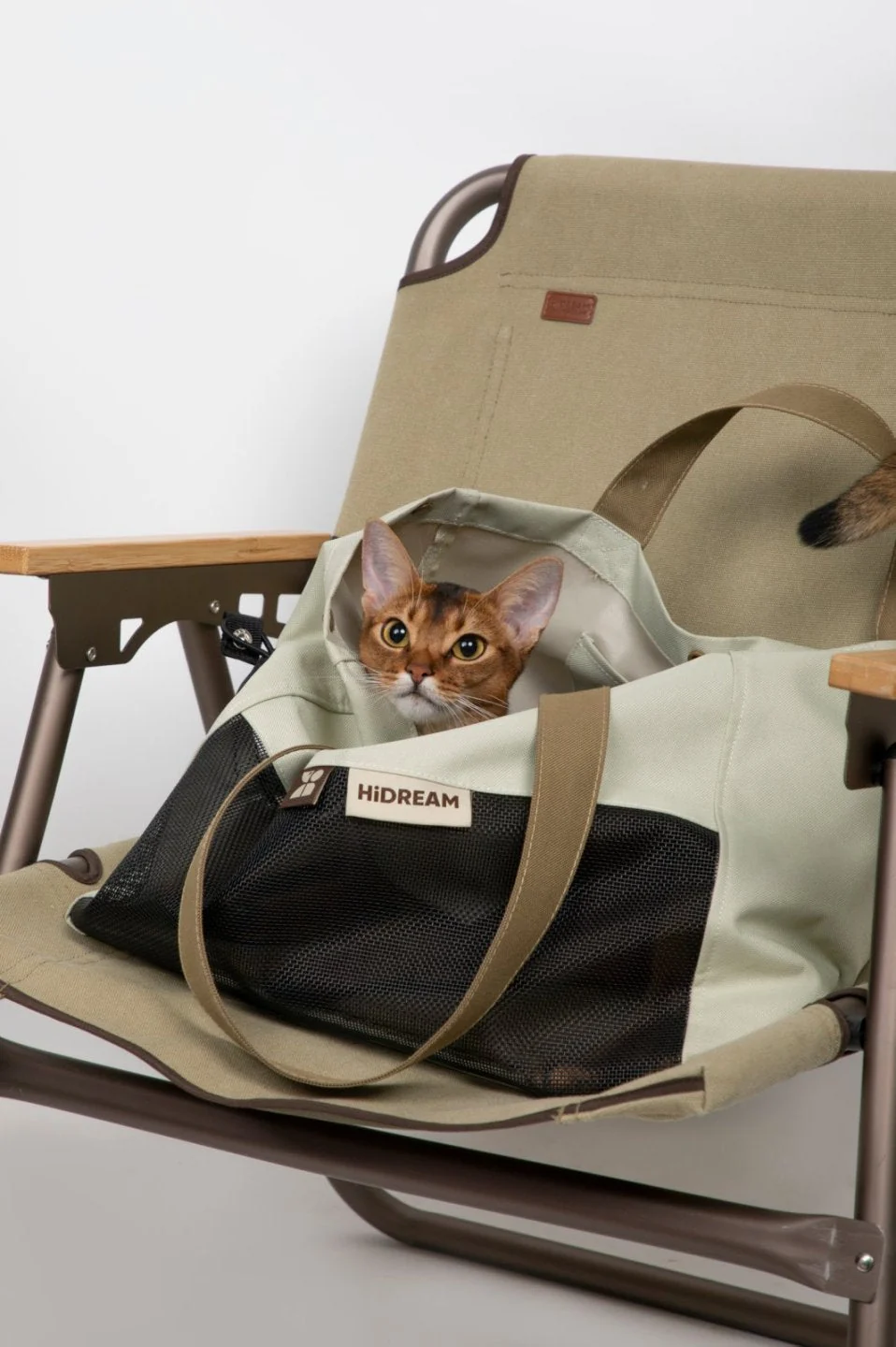 Color-Block Shoulder Pet Travel Bag | Momopets™ GoBuddy Series - Image 7