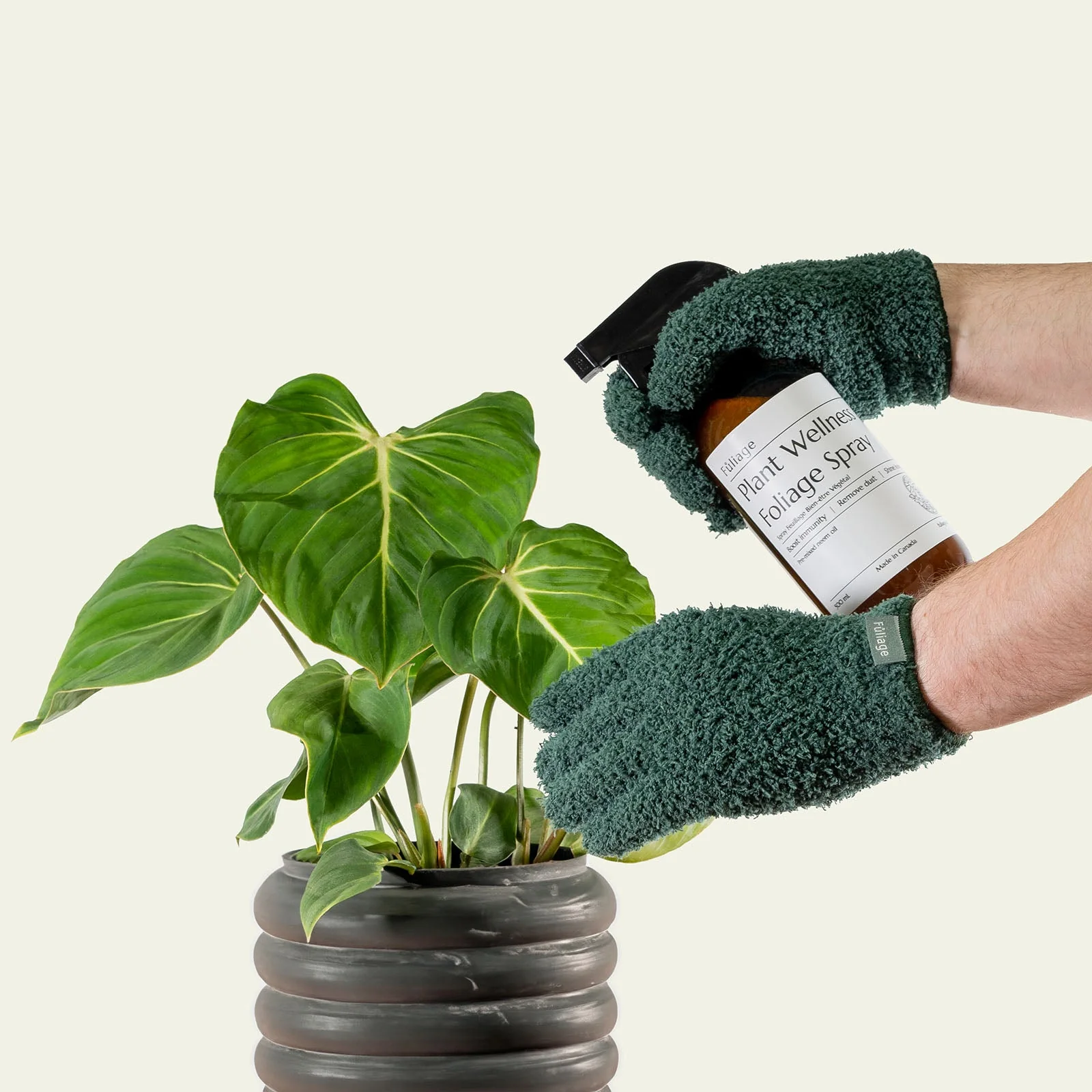 Complete Plant Care Trio - Image 3