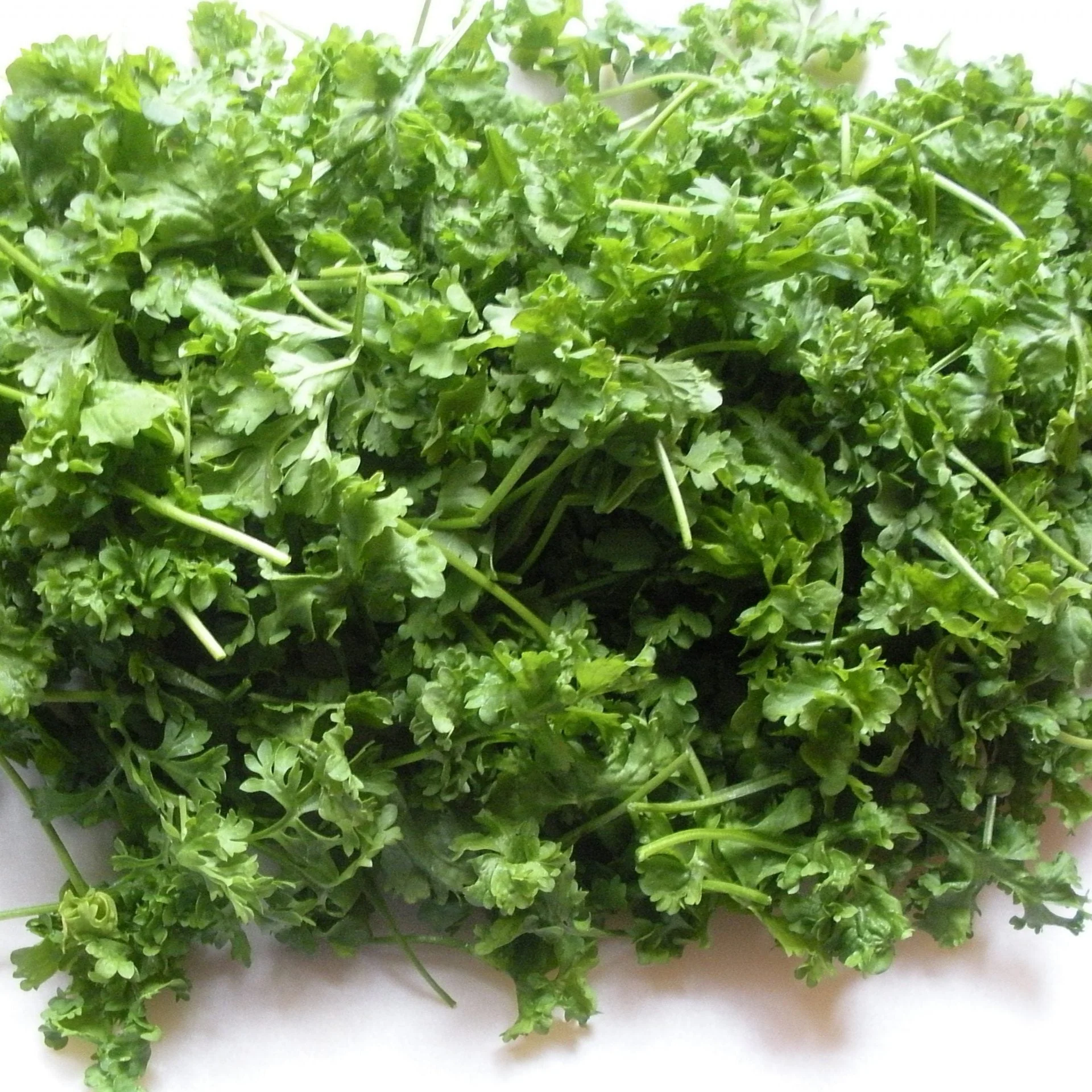 Curly Cress - Image 2