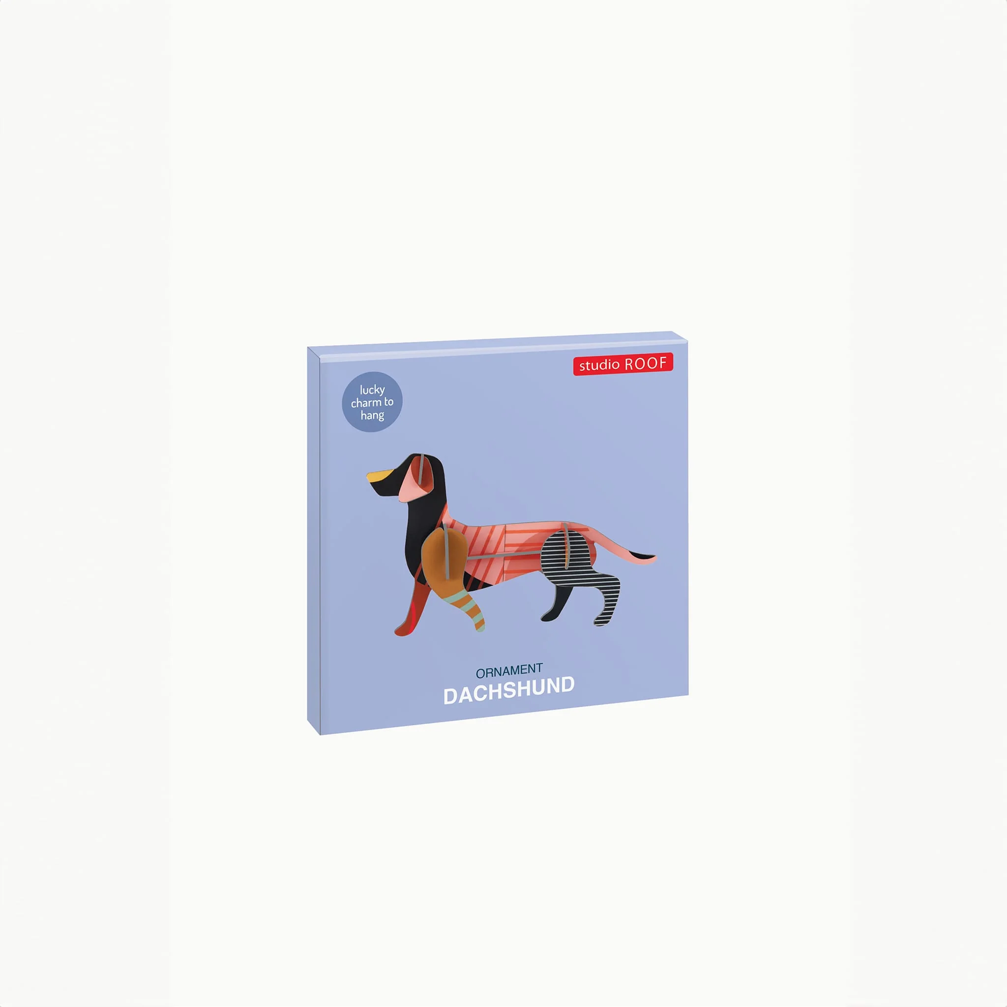 Dachshund - Image 4