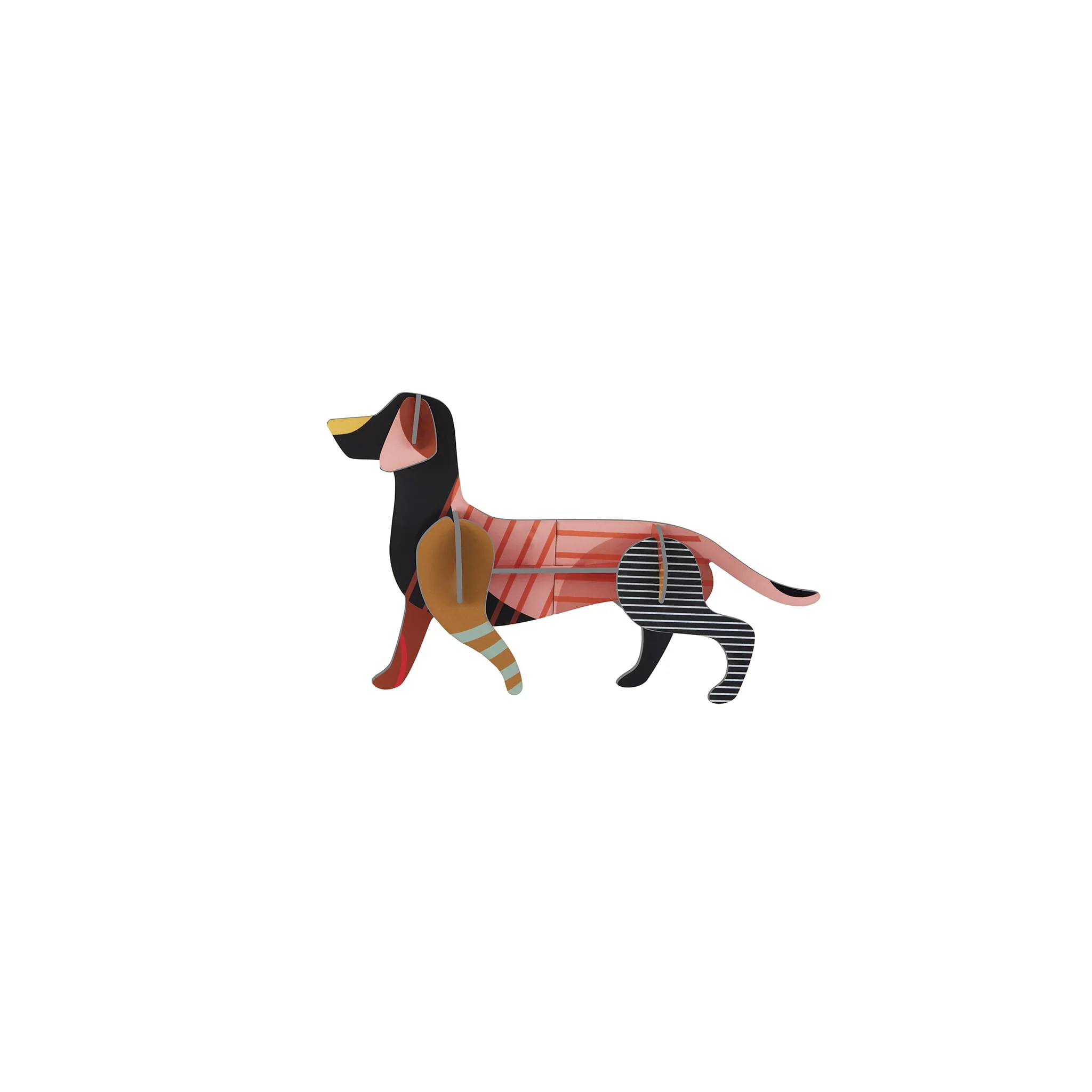 Dachshund - Image 5