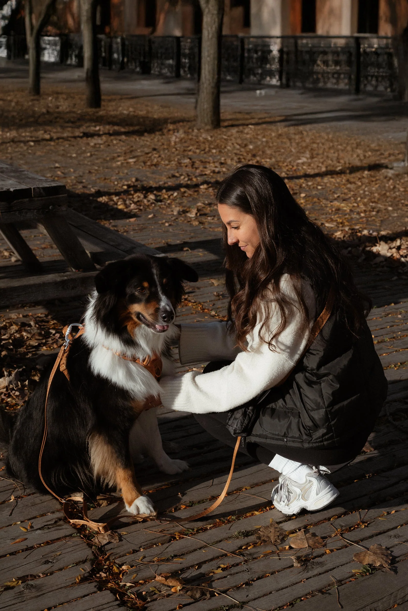 Daily Hands-Free Leash - Dulce - Image 3