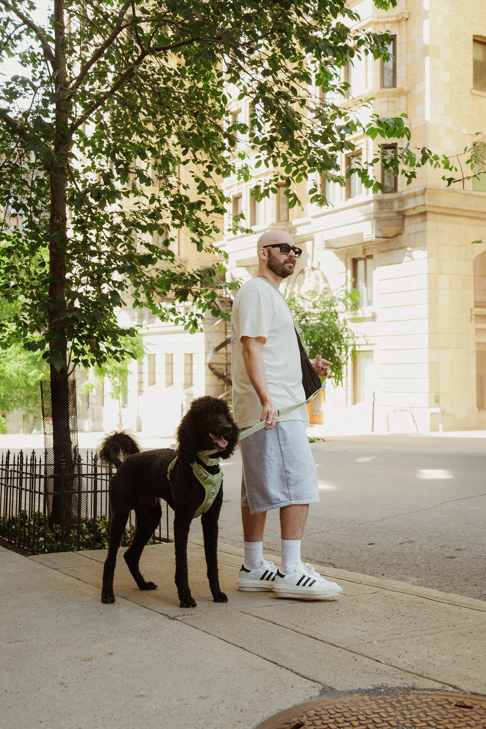 Daily Hands-Free Leash - Matcha - Image 2