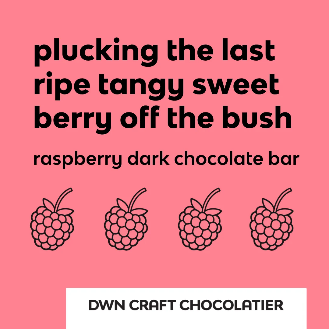 dark chocolate raspberry bar - Image 2