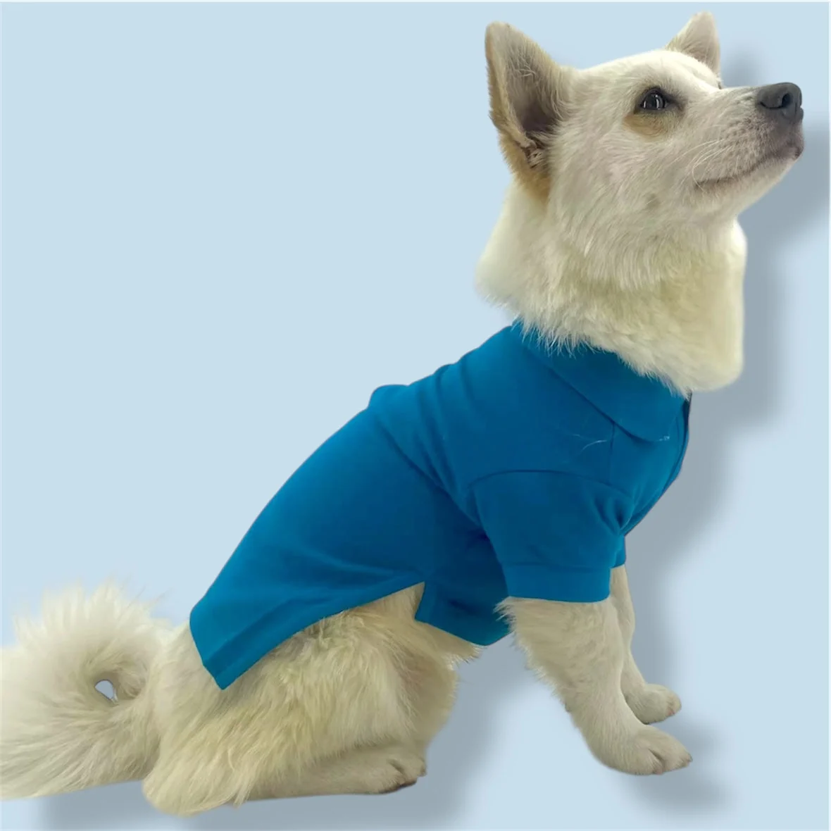Dark teal cotton shirt - Image 2