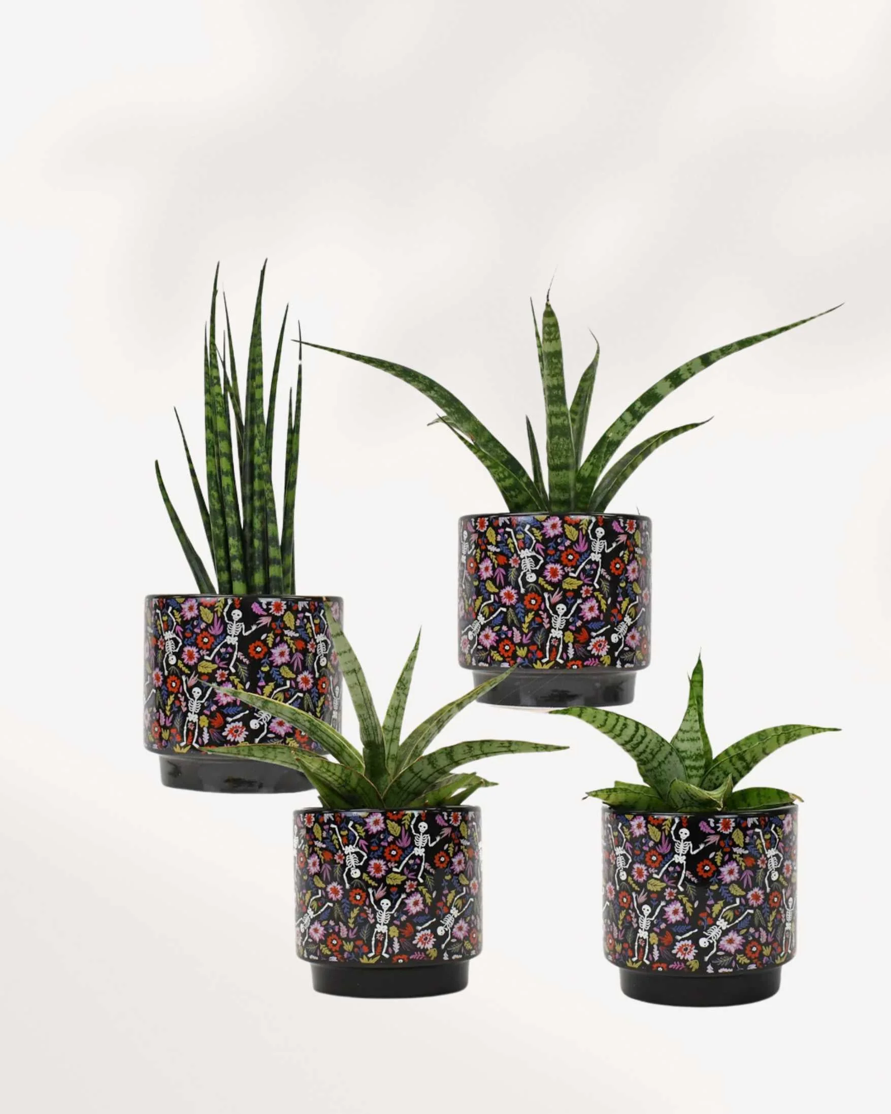 Day of the Dead Pot - Image 3